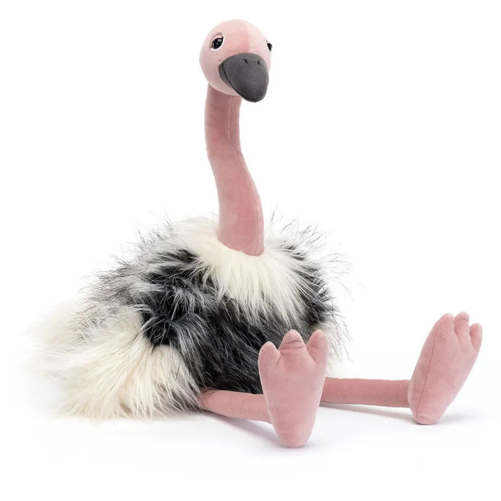 Ramonda Ostrich
