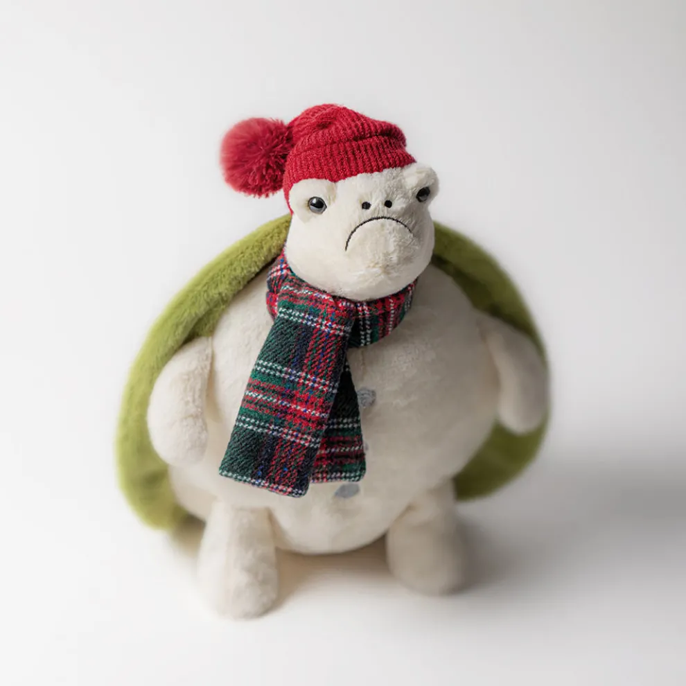 Snowman Timmy Turtle